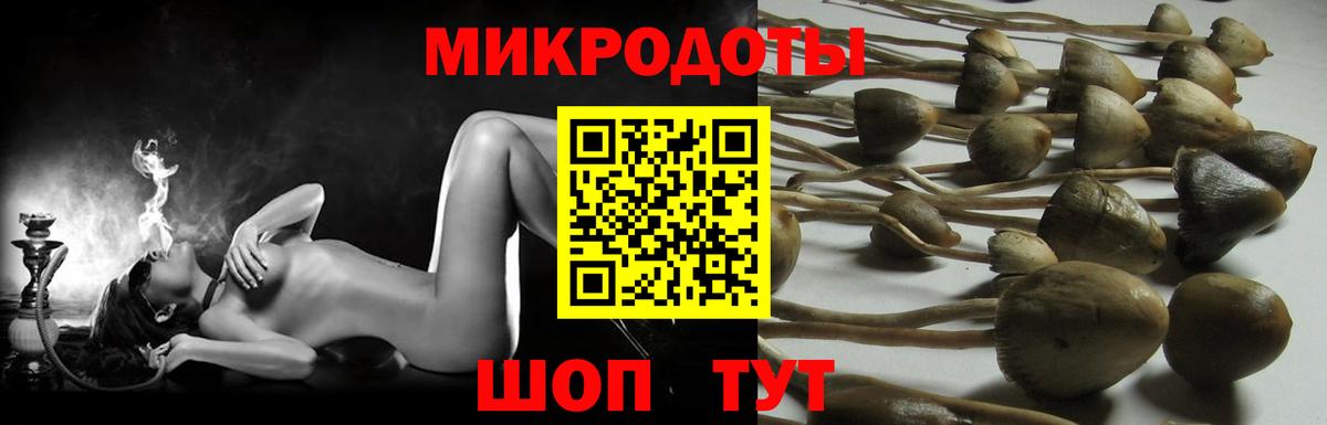 Галлюциногенные грибы мухоморы  Вход с VPN  Дмитров 